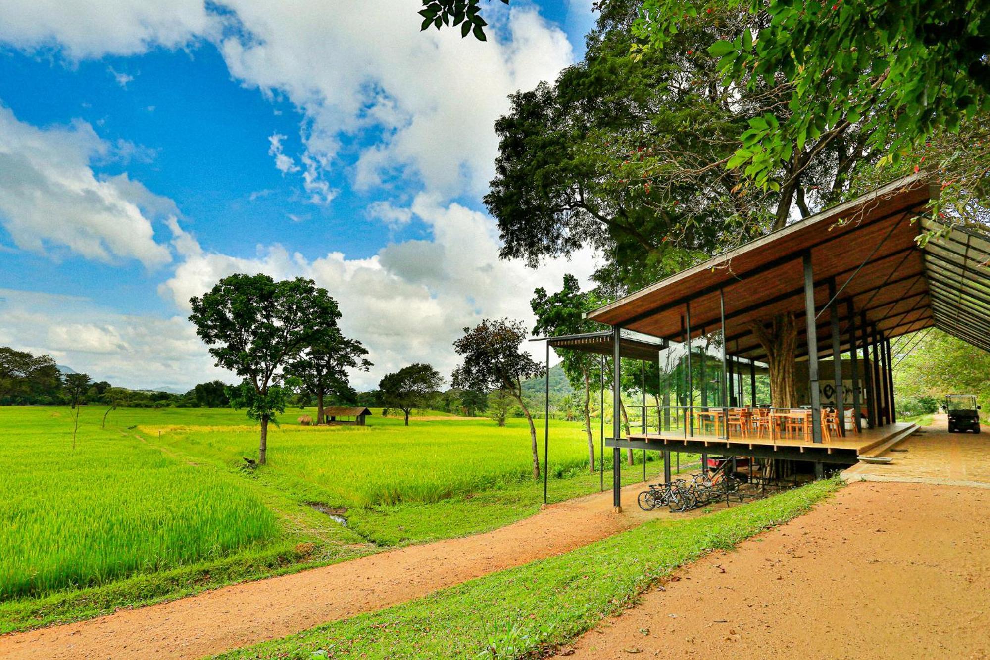 Hotel Kalundewa Retreat Dambulla Esterno foto