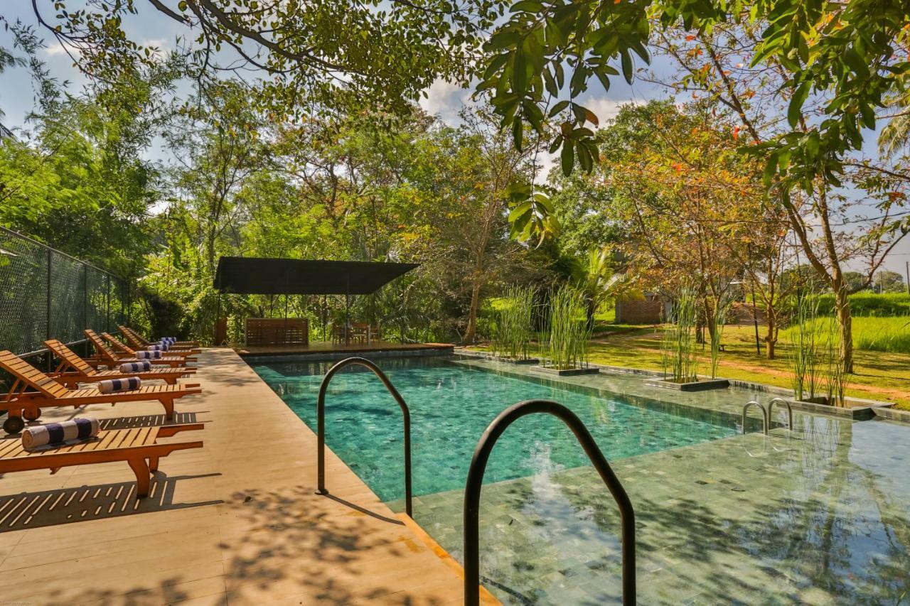 Hotel Kalundewa Retreat Dambulla Esterno foto