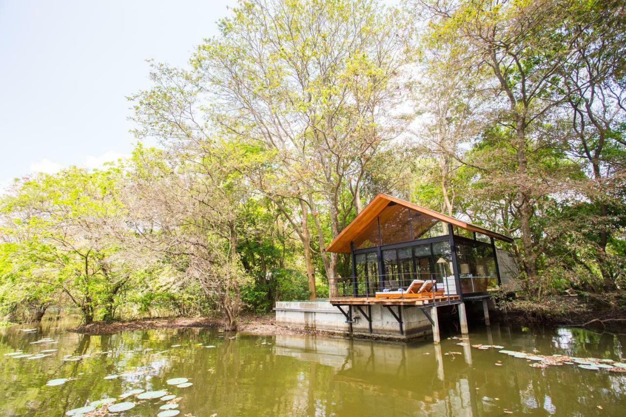 Hotel Kalundewa Retreat Dambulla Esterno foto